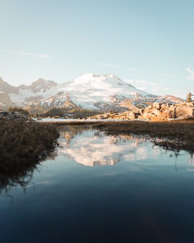 Nature Phone Wallpaper