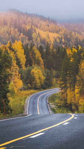 Nature Landscape Forest