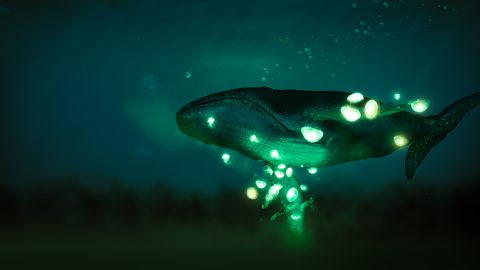 Neon Desktop Wallpaper