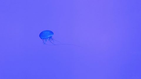 Neon Desktop Wallpaper