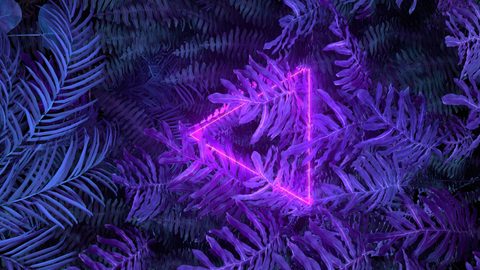 Neon Phone Wallpaper