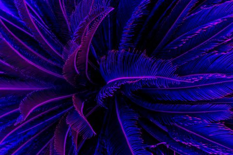 Neon Phone Wallpaper