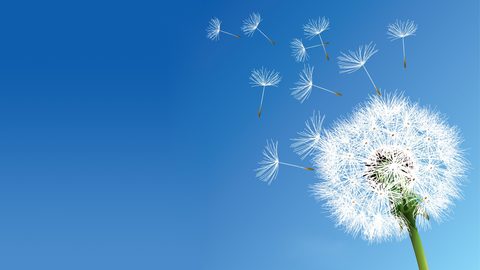 Sky Desktop Wallpaper