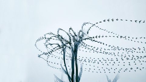 Sky Desktop Wallpaper