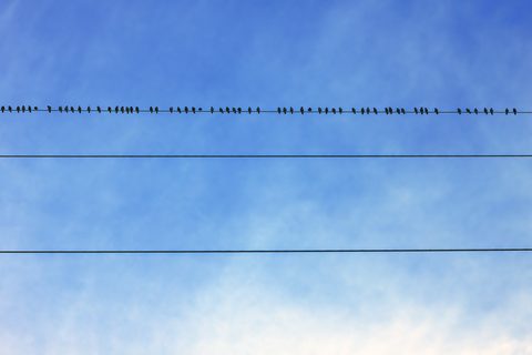 Sky Desktop Wallpaper