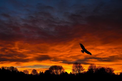 Sky Clouds Sunset