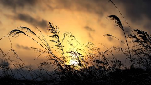 Sky Clouds Sunset