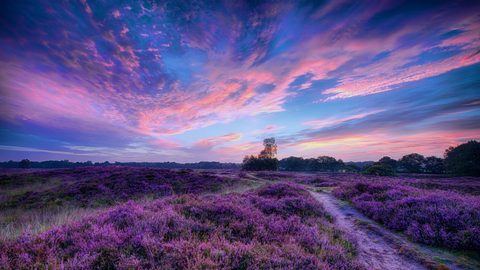 Sky Clouds Sunset