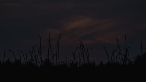 Sky Clouds Sunset