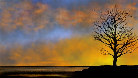 Sky Clouds Sunset