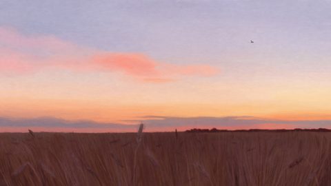 Sky Clouds Sunset