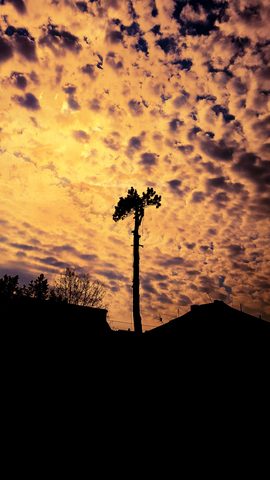 Sky Phone Wallpaper
