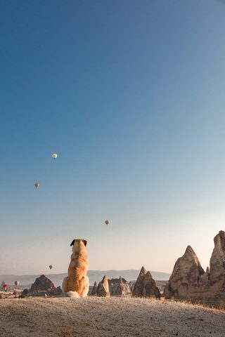 Sky Phone Wallpaper