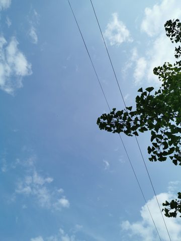 Sky Phone Wallpaper