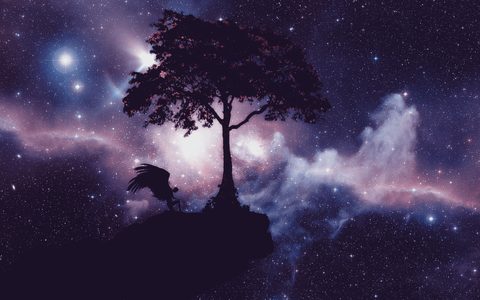 Space Galaxy Nebula Cosmos
