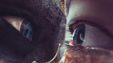 Surreal Desktop Wallpaper