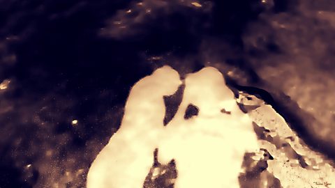 Surreal Desktop Wallpaper