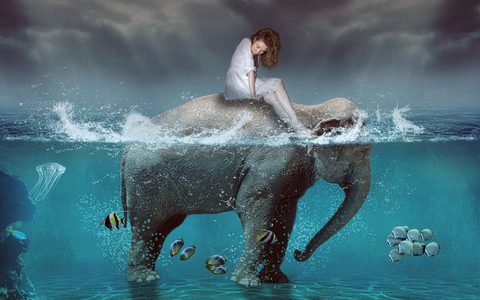 Surreal Surrealism