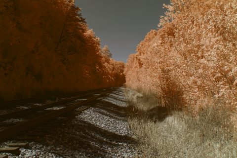 Surreal Surrealism