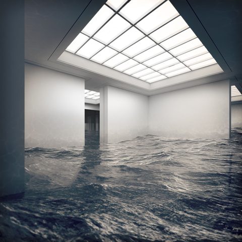 Surreal Surrealism