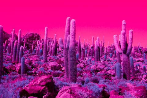 Surreal Surrealism