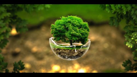 Surreal Surrealism