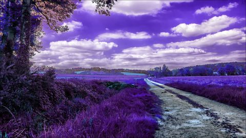 Surreal Surrealism