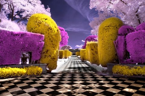 Surreal Surrealism