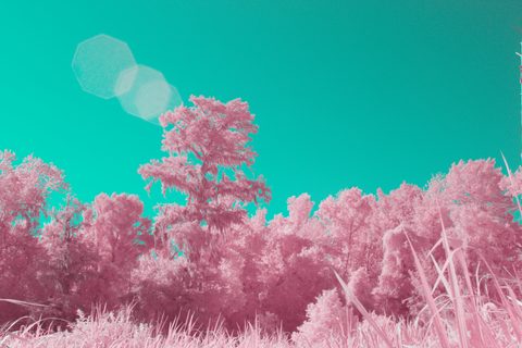 Surreal Surrealism