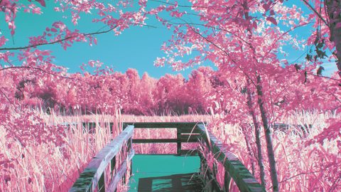 Surreal Surrealism
