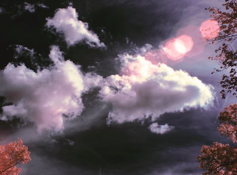 Surreal Surrealism