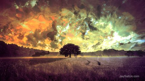 Surreal Surrealism